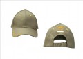 Aubrion Team Cap